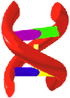 dna_helix_3.gif
